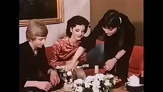 Vintage Danish Coitus Party